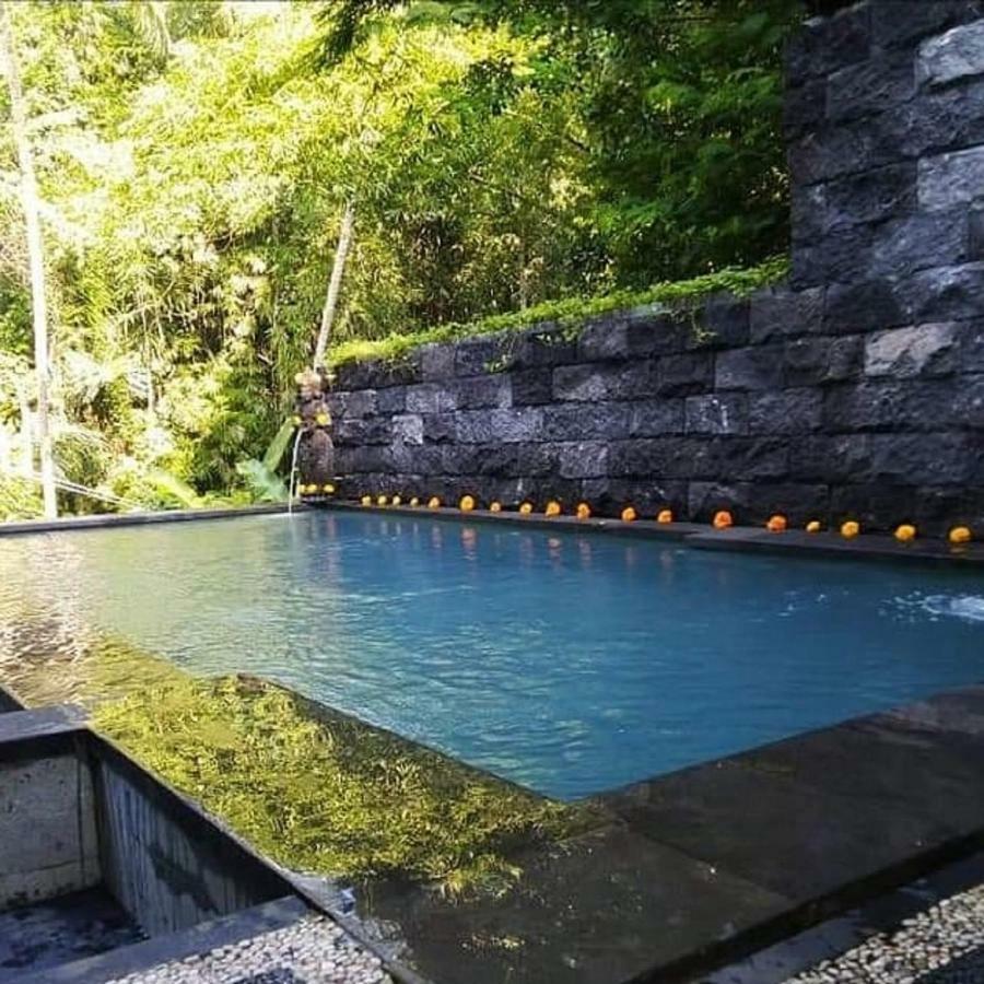 Ubud Harmony Private Villa And Pool Zewnętrze zdjęcie